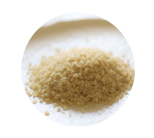 神經醯胺（賽洛美）是什麼？