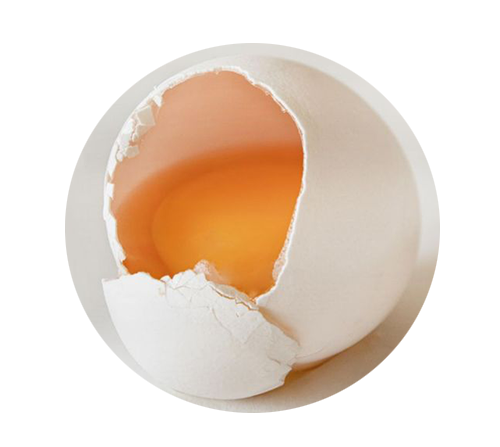 蛋殼膜的好處優點？