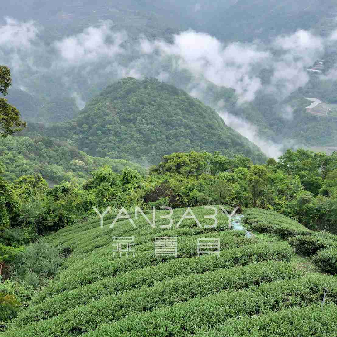 燕寶貝-翠峰高冷茶+礦物質濃縮液 禮盒組